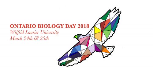 OBD colour small 500x250 - Home Page - Gallery Carousel